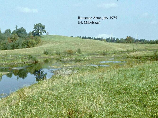 Maakond: Võrumaa Veekogu nimi: Ruusmäe Ärma järv Pildistamise aeg: 1975 Pildistaja: N. Mikelsaar Pildistamise koht: teadmata Asimuut: