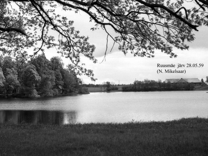 Maakond: Võrumaa Veekogu nimi: Ruusmäe järv Pildistamise aeg: 28. mai 1959 Pildistaja: N. Mikelsaar Pildistamise koht: NW otsast Asimuut: SE