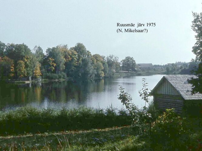 Maakond: Võrumaa Veekogu nimi: Ruusmäe järv Pildistamise aeg: 1975 Pildistaja: N. Mikelsaar Pildistamise koht: NW otsast Asimuut: ESE