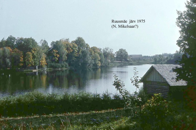 Maakond: Võrumaa Veekogu nimi: Ruusmäe järv Pildistamise aeg: 1975 Pildistaja: N. Mikelsaar Pildistamise koht: NW otsast Asimuut: ESE