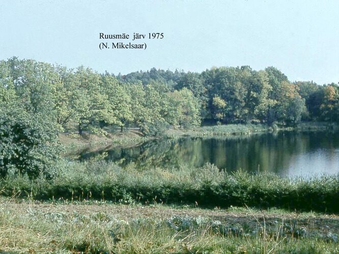 Maakond: Võrumaa Veekogu nimi: Ruusmäe järv Pildistamise aeg: 1975 Pildistaja: N. Mikelsaar Pildistamise koht: NW ots Asimuut: NE