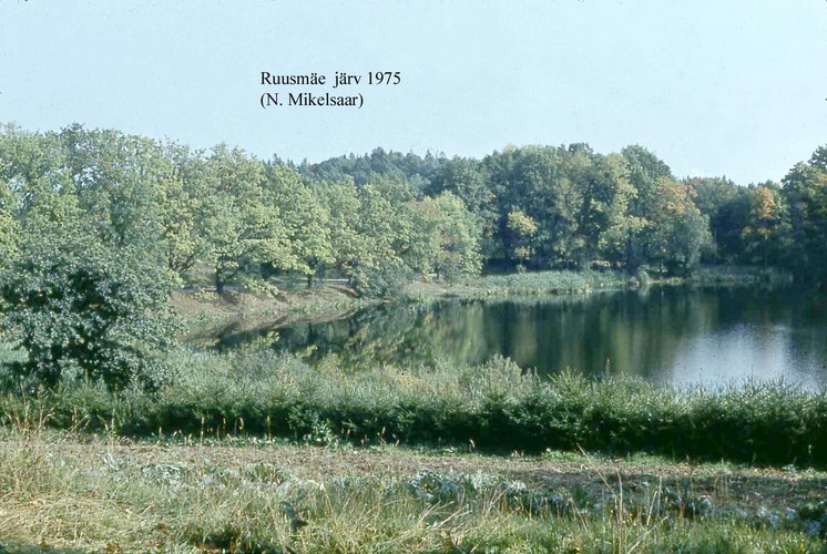 Maakond: Võrumaa Veekogu nimi: Ruusmäe järv Pildistamise aeg: 1975 Pildistaja: N. Mikelsaar Pildistamise koht: NW ots Asimuut: NE