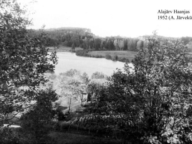 Maakond: Võrumaa Veekogu nimi: Saaluse Alajärv Pildistamise aeg: 1952 Pildistaja: A. Järvekülg Pildistamise koht: teadmata Asimuut: