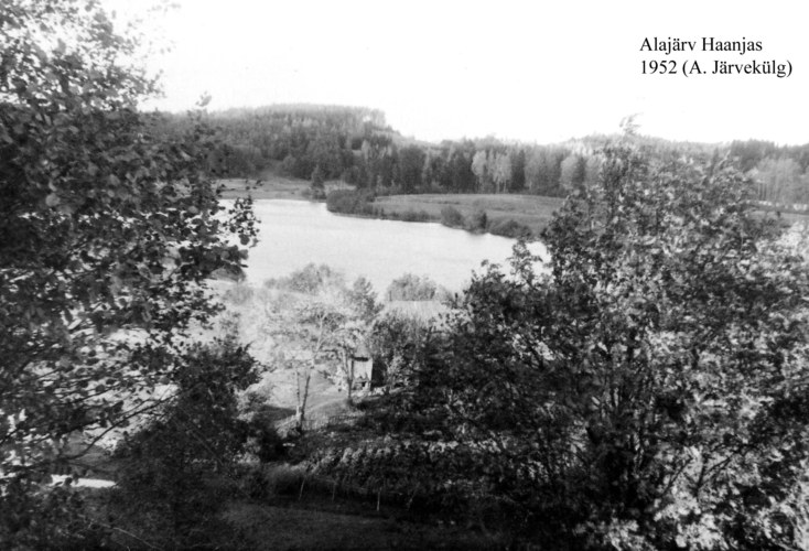 Maakond: Võrumaa Veekogu nimi: Saaluse Alajärv Pildistamise aeg: 1952 Pildistaja: A. Järvekülg Pildistamise koht: teadmata Asimuut: