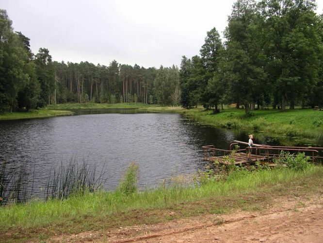 Maakond: Valgamaa Veekogu nimi: Saeveski paisjärv Pildistamise aeg: august 2004 Pildistaja: H. Timm Pildistamise koht: teadmata Asimuut: