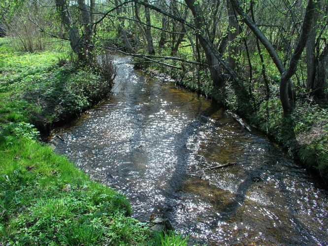 Maakond: Võrumaa Veekogu nimi: Sandisuu oja Pildistamise aeg: 9. mai 2005 Pildistaja: H. Timm Pildistamise koht: teadmata Asimuut: