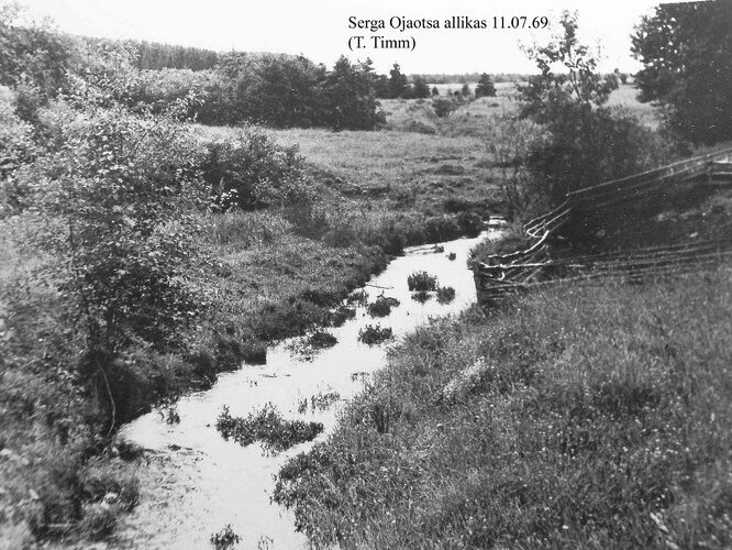 Maakond: Võrumaa Veekogu nimi: Serga Ojaotsa allikas Pildistamise aeg: 11. juuli 1969 Pildistaja: T. Timm Pildistamise koht: teadmata Asimuut: