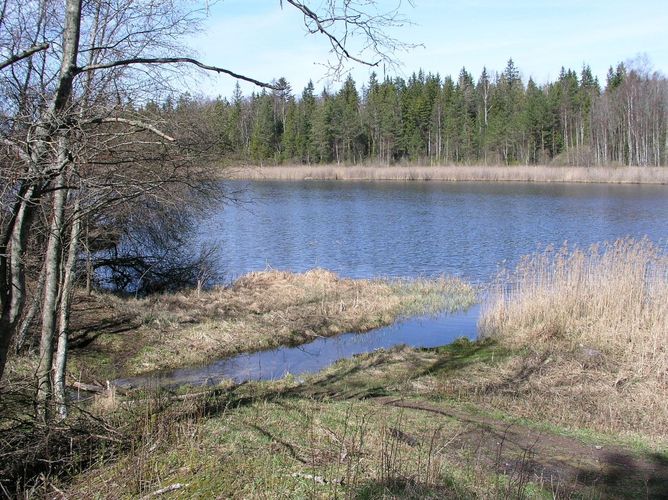 Maakond: Viljandimaa Veekogu nimi: Sinialliku järv Pildistamise aeg: 24. aprill 2008 Pildistaja: H. Timm Pildistamise koht: teadmata Asimuut: