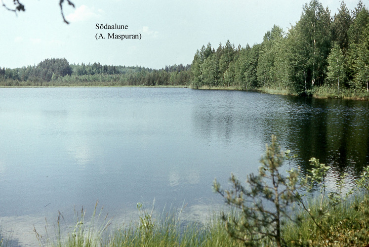 Maakond: Võrumaa Veekogu nimi: Sõdaalune järv Pildistamise aeg: teadmata Pildistaja: A. Maspuran Pildistamise koht: teadmata Asimuut: