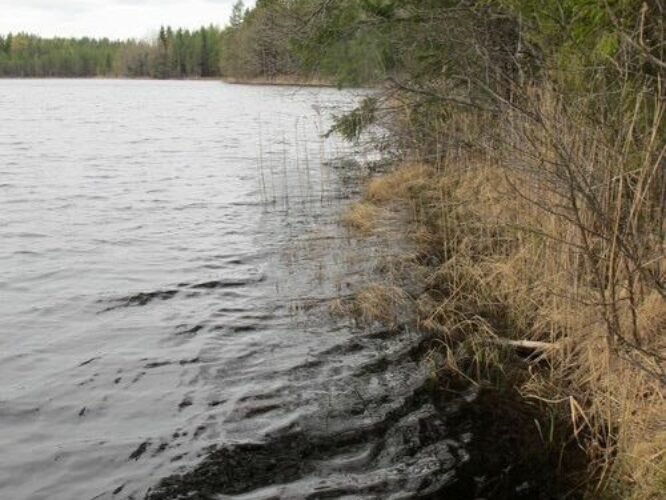 Maakond: Võrumaa Veekogu nimi: Sõdaalune järv Pildistamise aeg: 3. mai 2012 Pildistaja: H. Timm Pildistamise koht: teadmata Asimuut: