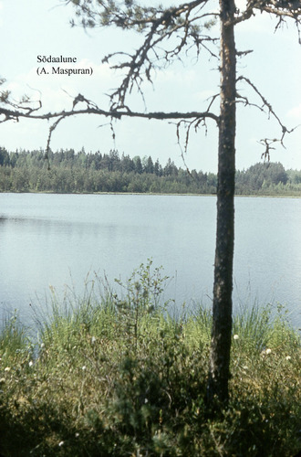 Maakond: Võrumaa Veekogu nimi: Sõdaalune järv Pildistamise aeg: teadmata Pildistaja: A. Maspuran Pildistamise koht: teadmata Asimuut: