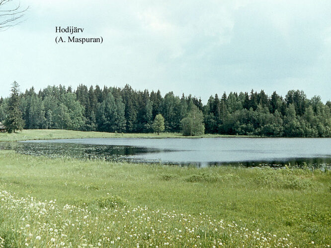 Maakond: Võrumaa Veekogu nimi: Soodi järv Pildistamise aeg: teadmata Pildistaja: A. Maspuran Pildistamise koht: teadmata Asimuut: