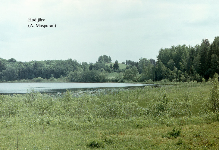 Maakond: Võrumaa Veekogu nimi: Soodi järv Pildistamise aeg: teadmata Pildistaja: A. Maspuran Pildistamise koht: teadmata Asimuut: