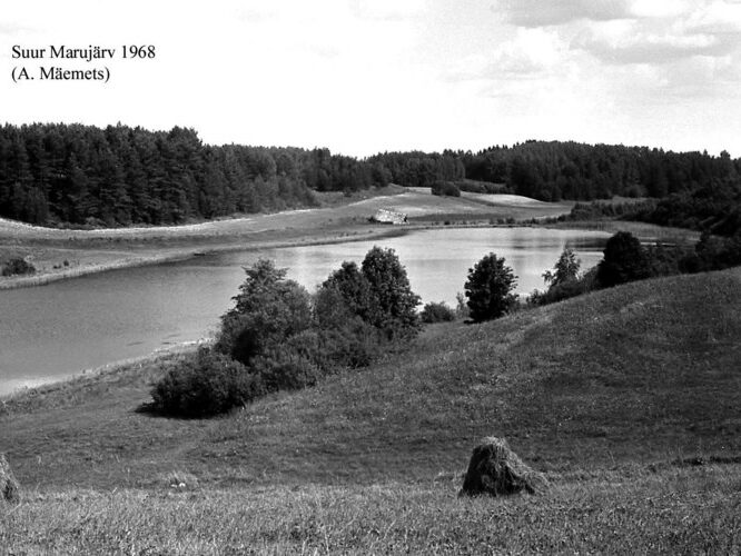 Maakond: Valgamaa Veekogu nimi: Suur Marujärv Pildistamise aeg: 1968 Pildistaja: A. Mäemets Pildistamise koht: teadmata Asimuut: