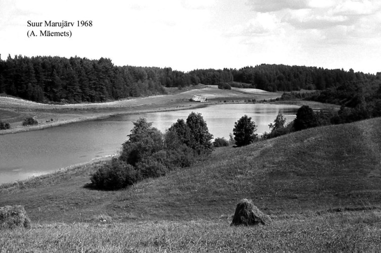 Maakond: Valgamaa Veekogu nimi: Suur Marujärv Pildistamise aeg: 1968 Pildistaja: A. Mäemets Pildistamise koht: teadmata Asimuut: