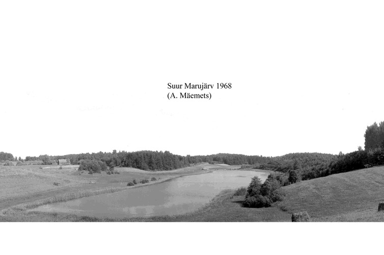 Maakond: Valgamaa Veekogu nimi: Suur Marujärv Pildistamise aeg: 1968 Pildistaja: A. Mäemets Pildistamise koht: teadmata Asimuut: