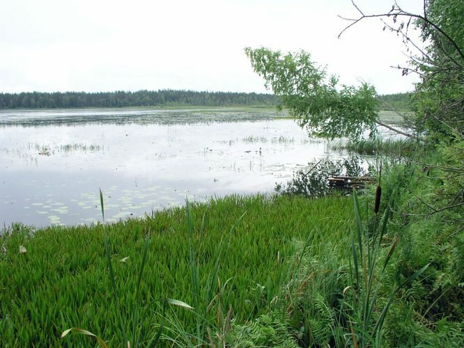 Maakond: Võrumaa Veekogu nimi: Suur Pehmejärv Pildistamise aeg: 2. august 2006 Pildistaja: H. Timm Pildistamise koht: teadmata Asimuut: