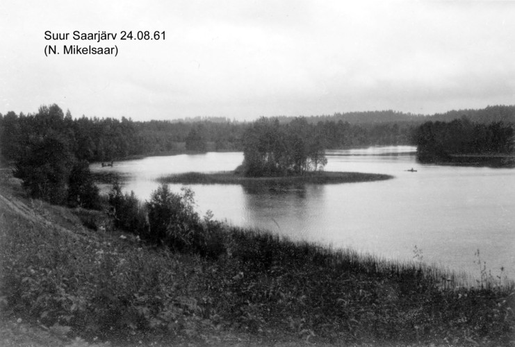 Maakond: Võrumaa Veekogu nimi: Suur Saarjärv Pildistamise aeg: 24. august 1961 Pildistaja: N. Mikelsaar Pildistamise koht: teadmata Asimuut: