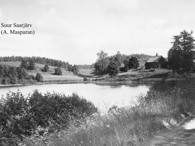 Maakond: Võrumaa Veekogu nimi: Suur Saarjärv Pildistamise aeg: teadmata Pildistaja: A. Maspuran Pildistamise koht: E kaldalt Asimuut: NW