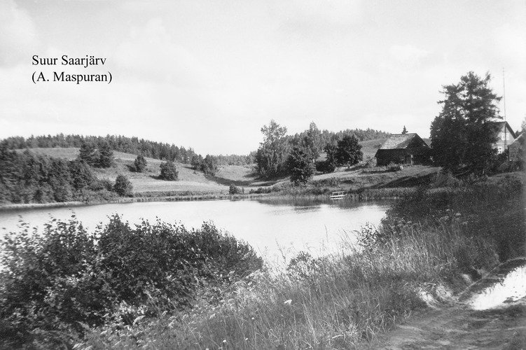 Maakond: Võrumaa Veekogu nimi: Suur Saarjärv Pildistamise aeg: teadmata Pildistaja: A. Maspuran Pildistamise koht: E kaldalt Asimuut: NW