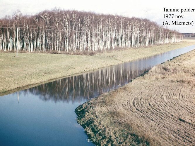 Maakond: Valgamaa Veekogu nimi: Tamme polder Pildistamise aeg: 1977 Pildistaja: A. Mäemets Pildistamise koht: teadmata Asimuut: