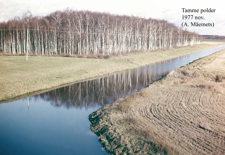 Maakond: Valgamaa Veekogu nimi: Tamme polder Pildistamise aeg: 1977 Pildistaja: A. Mäemets Pildistamise koht: teadmata Asimuut: