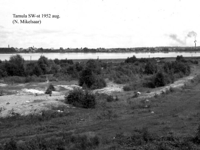 Maakond: Võrumaa Veekogu nimi: Tamula järv Pildistamise aeg: august 1952 Pildistaja: N. Mikelsaar Pildistamise koht: SW kaldalt Asimuut: NE