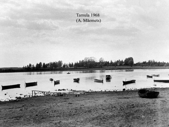 Maakond: Võrumaa Veekogu nimi: Tamula järv Pildistamise aeg: 1968 Pildistaja: A. Mäemets Pildistamise koht: teadmata Asimuut: