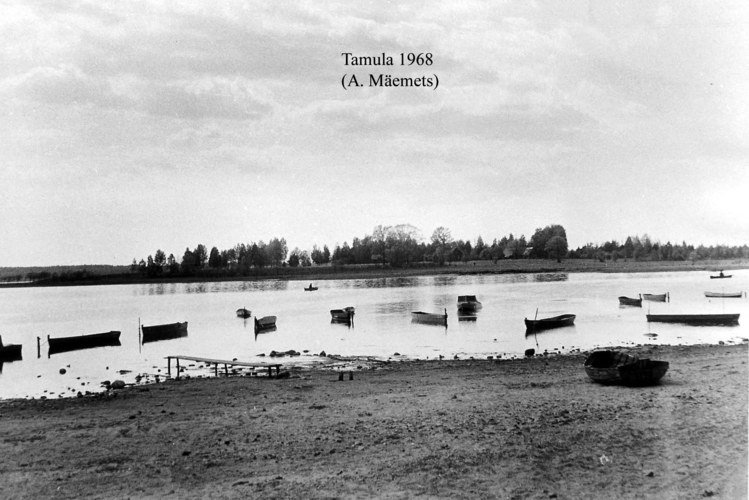 Maakond: Võrumaa Veekogu nimi: Tamula järv Pildistamise aeg: 1968 Pildistaja: A. Mäemets Pildistamise koht: teadmata Asimuut: