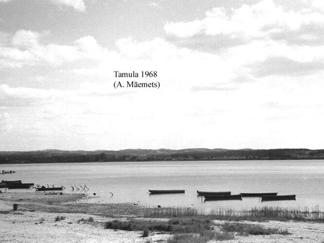 Maakond: Võrumaa Veekogu nimi: Tamula järv Pildistamise aeg: 1968 Pildistaja: A. Mäemets Pildistamise koht: teadmata Asimuut: