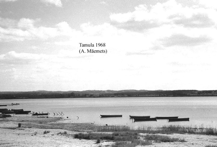 Maakond: Võrumaa Veekogu nimi: Tamula järv Pildistamise aeg: 1968 Pildistaja: A. Mäemets Pildistamise koht: teadmata Asimuut: