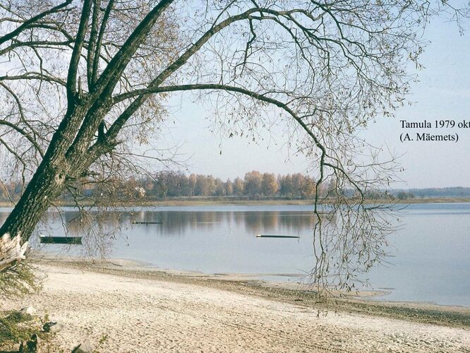 Maakond: Võrumaa Veekogu nimi: Tamula järv Pildistamise aeg: oktoober 1979 Pildistaja: A. Mäemets Pildistamise koht: teadmata Asimuut: