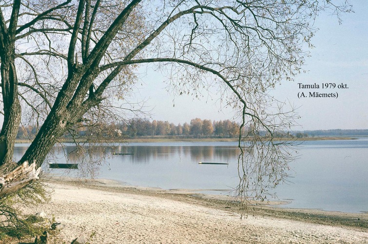 Maakond: Võrumaa Veekogu nimi: Tamula järv Pildistamise aeg: oktoober 1979 Pildistaja: A. Mäemets Pildistamise koht: teadmata Asimuut: