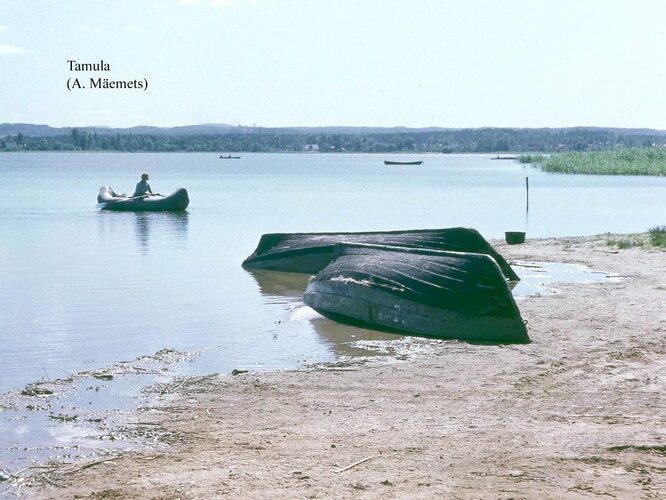 Maakond: Võrumaa Veekogu nimi: Tamula järv Pildistamise aeg: teadmata Pildistaja: A. Mäemets Pildistamise koht: teadmata Asimuut: