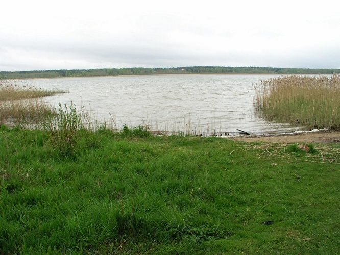 Maakond: Võrumaa Veekogu nimi: Tamula järv Pildistamise aeg: 7. mai 2008 Pildistaja: H. Timm Pildistamise koht: teadmata Asimuut: