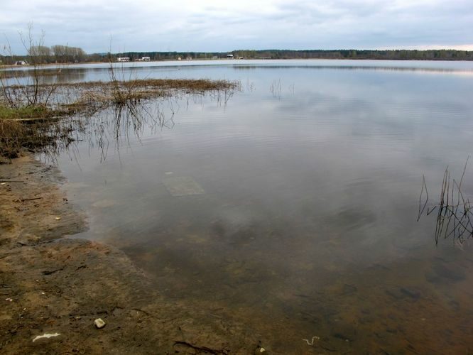 Maakond: Võrumaa Veekogu nimi: Tamula järv Pildistamise aeg: 4. mai 2011 Pildistaja: H. Timm Pildistamise koht: teadmata Asimuut: