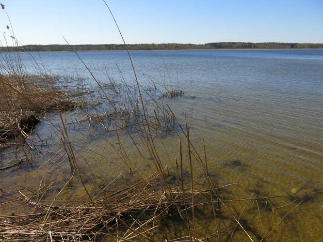 Maakond: Võrumaa Veekogu nimi: Tamula järv Pildistamise aeg: 23. aprill 2014 Pildistaja: H. Timm Pildistamise koht: teadmata Asimuut: