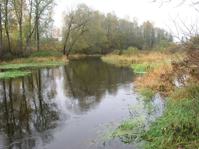 Maakond: Viljandimaa Veekogu nimi: Tänassilma jõgi Pildistamise aeg: 16. oktoober 2007 Pildistaja: H. Timm Pildistamise koht: Kuudeküla Asimuut: