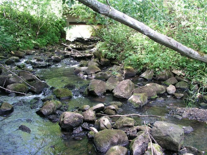 Maakond: Viljandimaa Veekogu nimi: Tarvastu jõgi Pildistamise aeg: 20. mai 2007 Pildistaja: H. Timm Pildistamise koht: Ämmuste Asimuut: