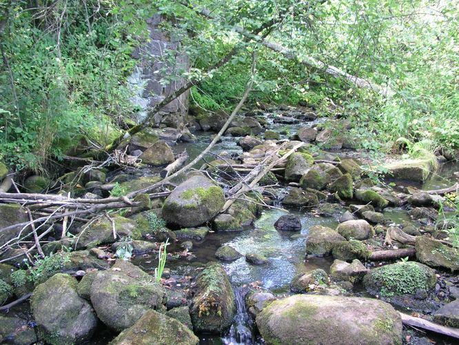 Maakond: Viljandimaa Veekogu nimi: Tarvastu jõgi Pildistamise aeg: 20. mai 2007 Pildistaja: H. Timm Pildistamise koht: Ämmuste Asimuut: