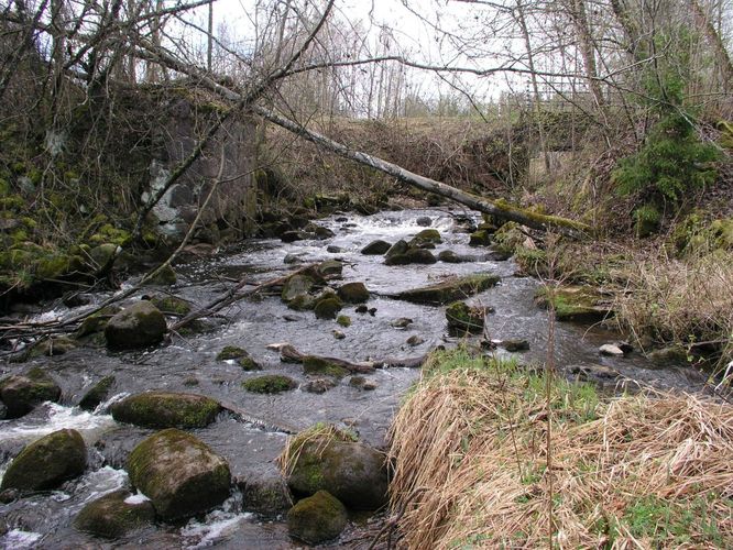 Maakond: Viljandimaa Veekogu nimi: Tarvastu jõgi Pildistamise aeg: 20. mai 2007 Pildistaja: H. Timm Pildistamise koht: Ämmuste Asimuut: