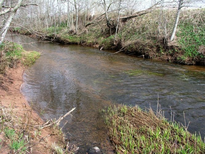 Maakond: Viljandimaa Veekogu nimi: Tarvastu jõgi Pildistamise aeg: 20. mai 2007 Pildistaja: H. Timm Pildistamise koht: alamjooks Asimuut: