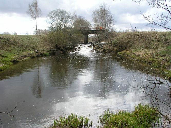 Maakond: Viljandimaa Veekogu nimi: Tarvastu jõgi Pildistamise aeg: 20. mai 2007 Pildistaja: H. Timm Pildistamise koht: alamjooks Asimuut: