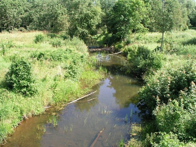 Maakond: Viljandimaa Veekogu nimi: Tarvastu jõgi Pildistamise aeg: 22. juuli 2007 Pildistaja: H. Timm Pildistamise koht: Tarvastu Asimuut: