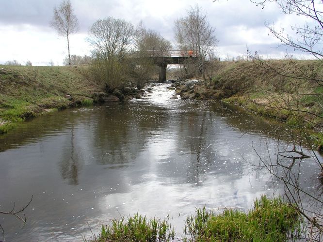 Maakond: Viljandimaa Veekogu nimi: Tarvastu jõgi Pildistamise aeg: 20. mai 2007 Pildistaja: H. Timm Pildistamise koht: alamjooks Asimuut: