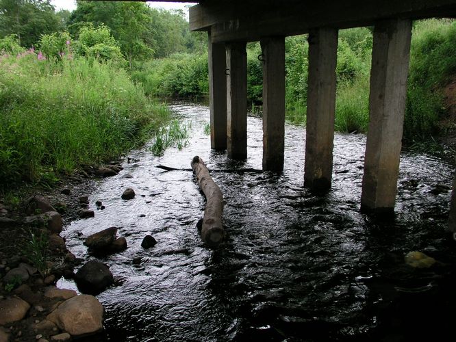 Maakond: Viljandimaa Veekogu nimi: Tarvastu jõgi Pildistamise aeg: 14. juuli 2008 Pildistaja: H. Timm Pildistamise koht: Tarvastu sild Asimuut: