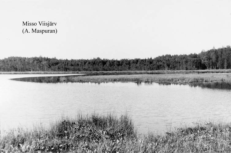 Maakond: Võrumaa Veekogu nimi: Tika Pildistamise aeg: teadmata Pildistaja: A. Maspuran Pildistamise koht: teadmata Asimuut: