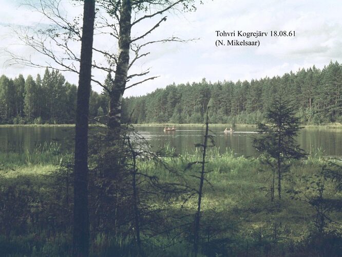 Maakond: Valgamaa Veekogu nimi: Tohvri Kogrõjärv Pildistamise aeg: 18. august 1961 Pildistaja: N. Mikelsaar Pildistamise koht: teadmata Asimuut: