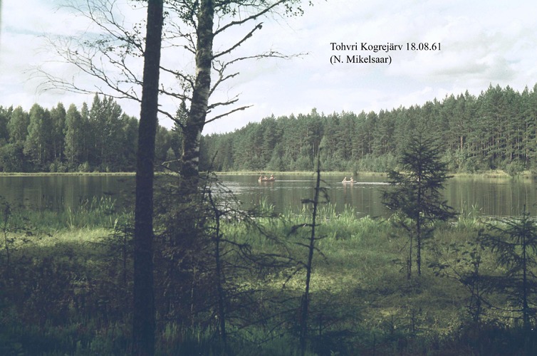 Maakond: Valgamaa Veekogu nimi: Tohvri Kogrõjärv Pildistamise aeg: 18. august 1961 Pildistaja: N. Mikelsaar Pildistamise koht: teadmata Asimuut: