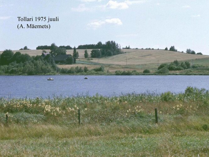 Maakond: Valgamaa Veekogu nimi: Tollari järv Pildistamise aeg: juuli 1975 Pildistaja: A. Mäemets Pildistamise koht: teadmata Asimuut: